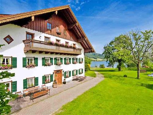 Bondegård - 4 personer -  - Am Irrsee - 4893 - Zell Am Moos