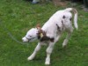Bild 18