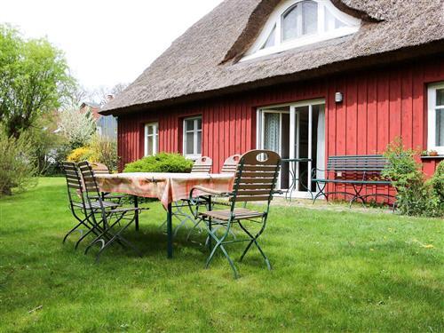 Semesterlägenhet - 6 personer -  - Hafenstraße - 18374 - Pramort