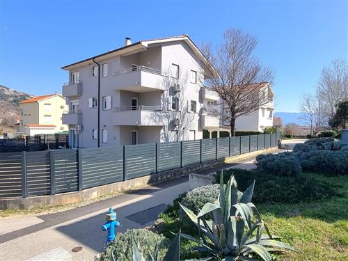 Holiday apartment - 8 persons -  - Skopalj - 51523 - Baska