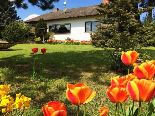 Ferienhaus - 8 Personen -  - 55442 - Daxweiler