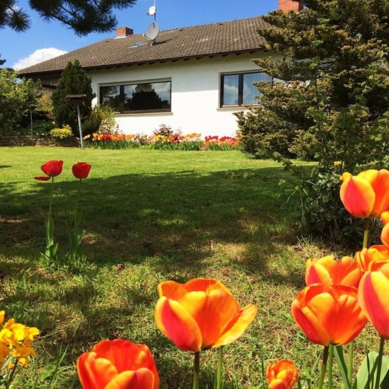 Sommerhus - 8 personer -  - 55442 - Daxweiler
