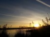 Bilde 4