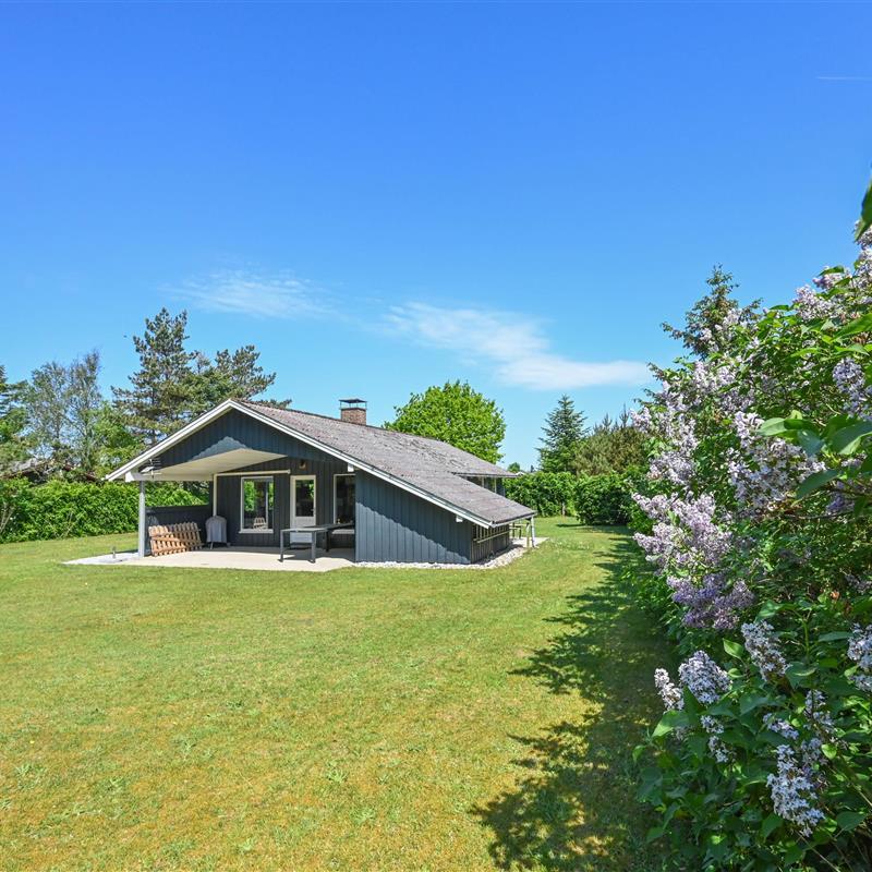 Ferienhaus - 6 Personen -  - Ranunkelvej - Nr. Hede Vest - 6990 - Ulfborg