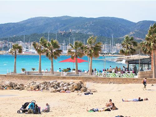 Sommerhus - 6 personer -  - Carrer del Bastió del Príncep - 07001 - Palma