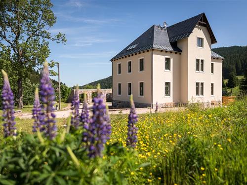 Holiday apartment - 1 person -  - Alte Poststraße - 08309 - Eibenstock