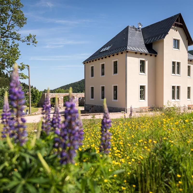 Ferielejlighed - 1 person -  - Alte Poststraße - 08309 - Eibenstock