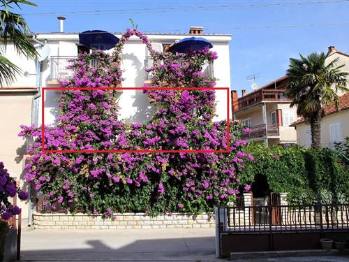 Holiday Home/Apartment - 5 persons -  - Ulica Ante Kovacica - 23210 - Biograd