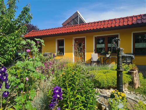 Ferienwohnung - 5 Personen -  - Strand und Spielplatz 200m, rollstuhlfreundlich, WLAN - 18230 - Rerik