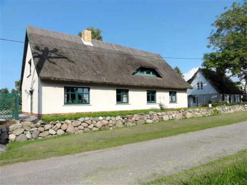 Ferieleilighet - 3 personer -  - Lubkow Nr. - 18528 - Bergen Auf Rügen / Lubkow