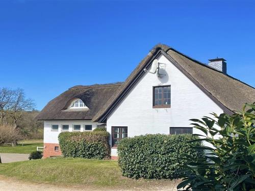 Ferieleilighet - 4 personer -  - 23823 - Hornsmühlen