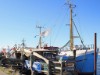 Billede 31