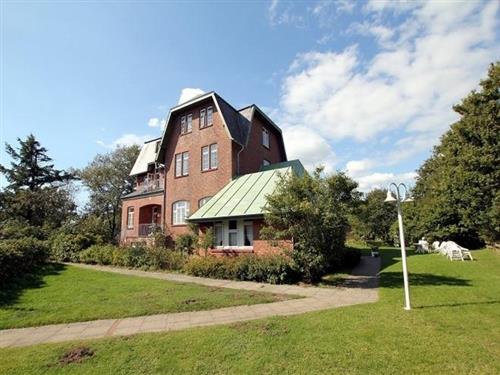 Ferielejlighed - 2 personer -  - Ginsterweg - 25938 - Wyk Auf Föhr