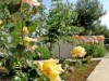 Image 9 - Outside