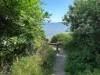 Bild 17