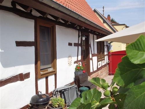 Semesterhus/Semesterlägenhet - 4 personer -  - Oberdorfstraße - 76831 - Billigheim-Ingenheim