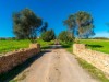 Billede 28