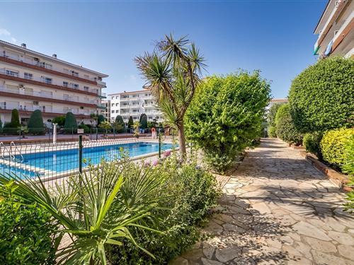 Semesterlägenhet - 5 personer -  - 17300 - Blanes