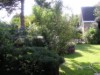 Image 13