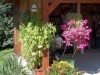 Bilde 4
