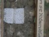 Billede 6