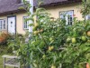 Bild 30 - Utsikt