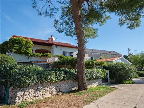 Holiday apartment - 5 persons -  - Molat - 23292 - Molat