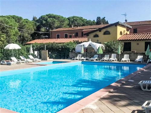 Ferielejlighed - 3 personer -  - Cecina - 57023