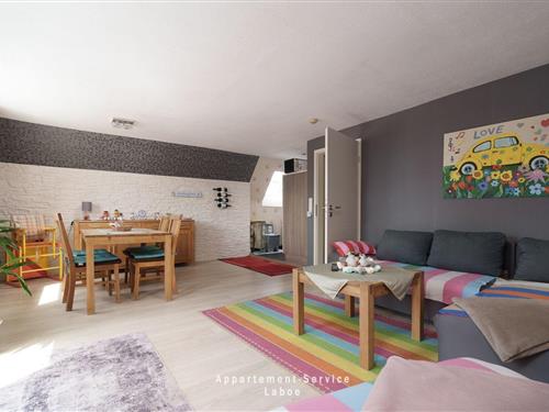 Holiday apartment - 5 persons -  - Wilhelmsallee - 24235 - Laboe