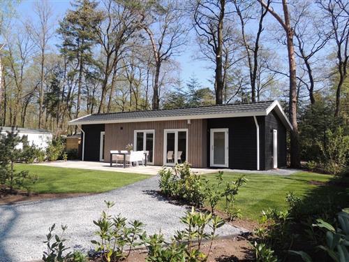Chalet - 4 personer -  - 7351TM - Hoenderloo