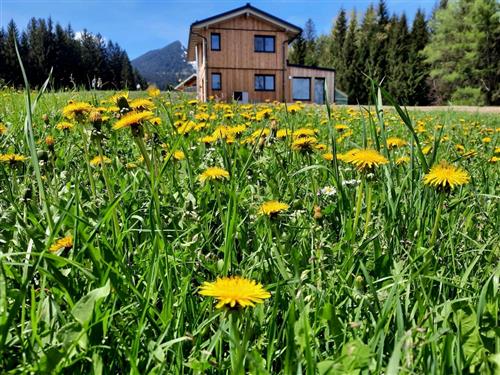 Feriehus - 8 personer -  - Tschengla - 6707 - Bürserberg