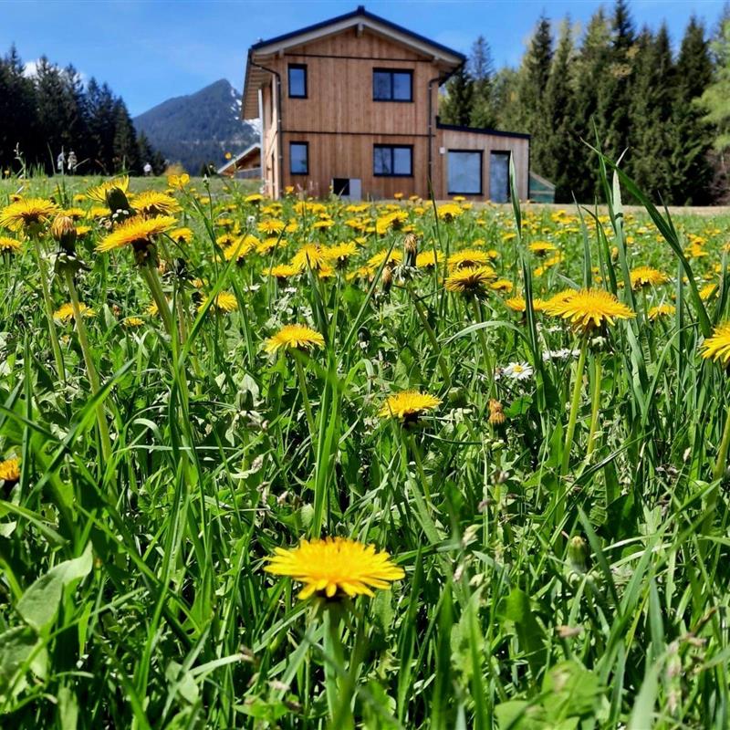 Sommerhus - 8 personer -  - Tschengla - 6707 - Bürserberg