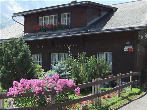 Holiday apartment - 1 person -  - Grindelwald - 3818