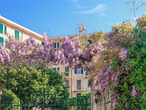 Ferieleilighet - 8 personer -  - Piazza Pellerano Murtola - Santa Margherita Ligure - 16038 - Santa Margherita Ligur