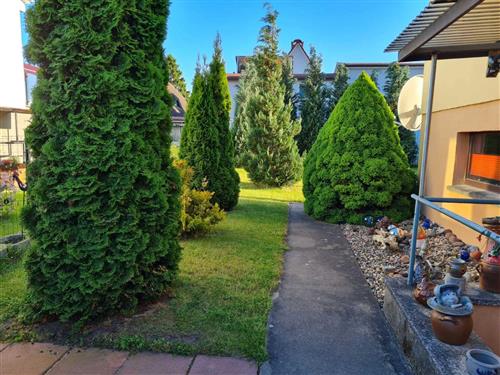 Ferielejlighed - 2 personer -  - Douzettestraße - 18356 - Barth