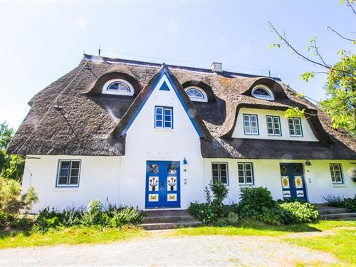 Ferielejlighed - 2 personer -  - Achtern-Dieck 8a, Haus 8, Whg. - 18374 - Zingst