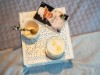 Bilde 16 - Inne