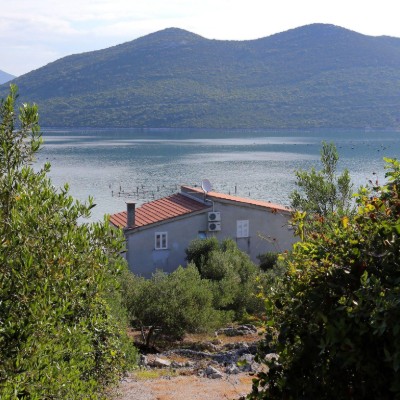 Billede 4