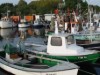 Bild 16