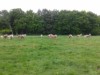 Bild 13