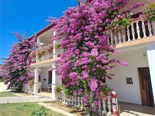 Ferienwohnung - 4 Personen -  - Ante Starcevica - 23233 - Privlaka