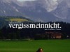 Bild 28