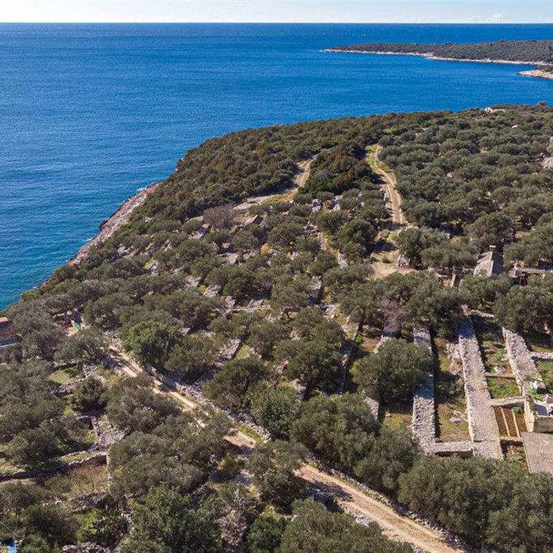 Sommerhus - 4 personer -  - Uvala Pelegrin - Korcula-Pelegrin - 20270 - Vela Luka