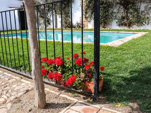 Holiday home - 4 persons -  - Carretera Ecija a Fuente Palmera - 41400 - Ecija
