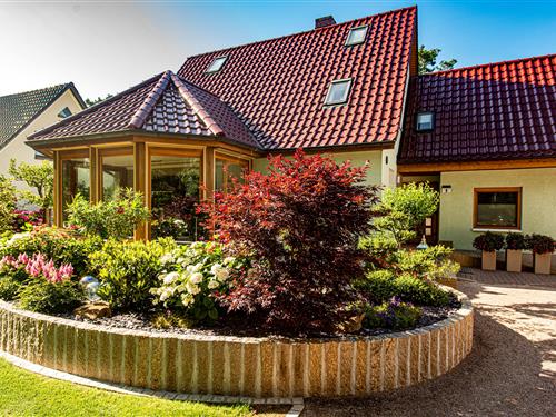 Ferielejlighed - 2 personer -  - Am Badesteig - 18347 - Dierhagen Strand