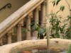 Image 23 - Outside