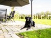 Bilde 4