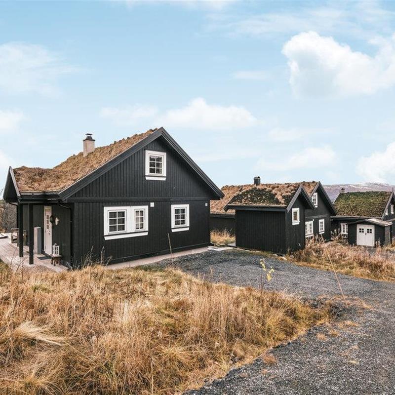 Sommerhus - 8 personer -  - Snarvegen - 3864 - Rauland