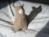 Bild 32