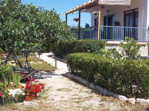 Holiday Home/Apartment - 6 persons -  - Torovi - 23234 - Vir